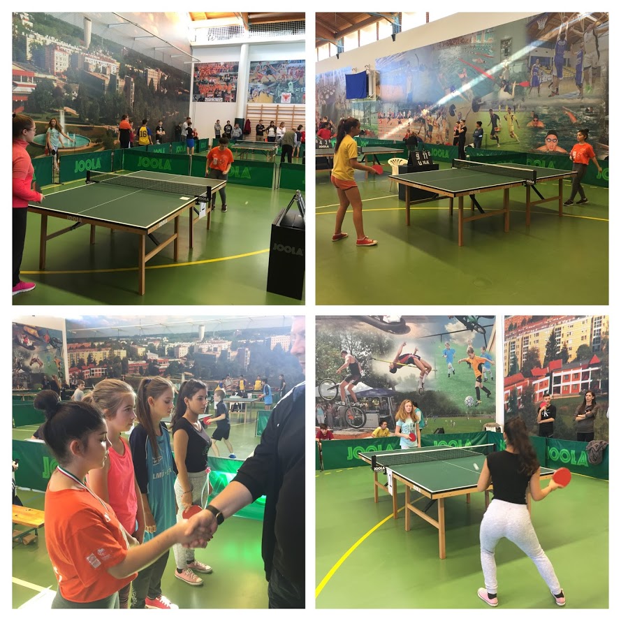 47303481 2273759782657132 8325914684502835200 o COLLAGE