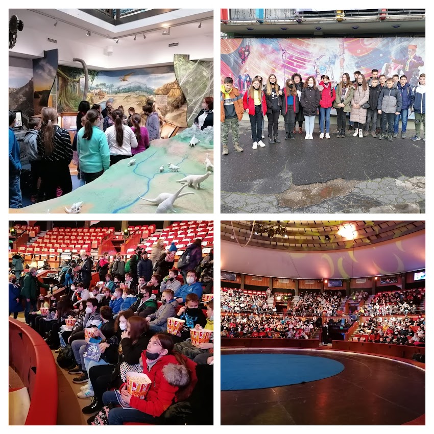 lepbp COLLAGE